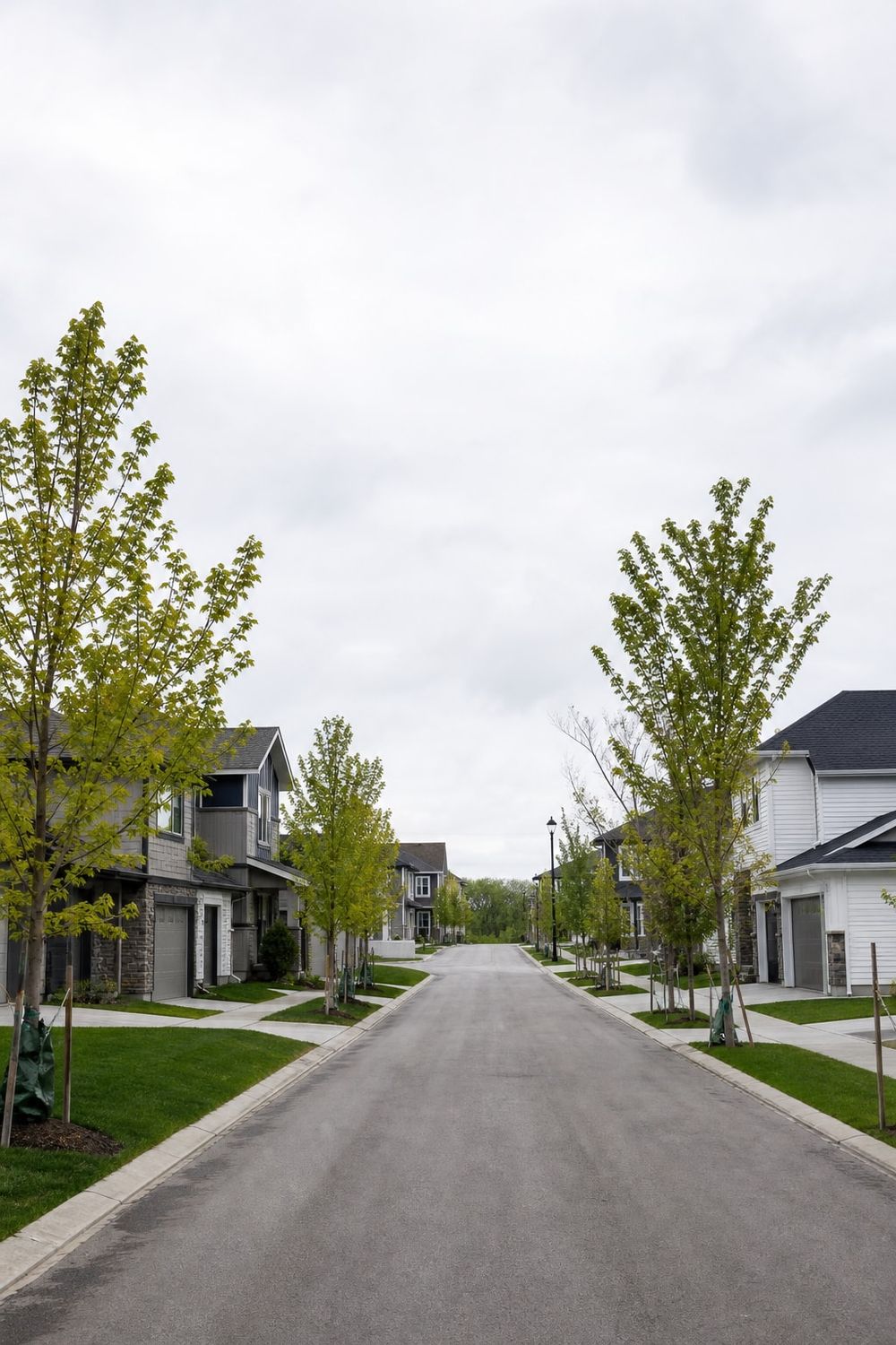 Tree Service in Beaumont by Your Arborist Edmonton