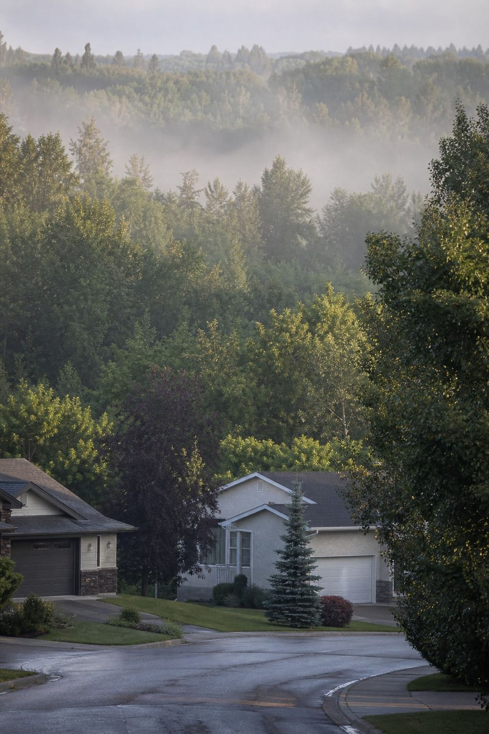 Tree Service in Devon in Edmonton
