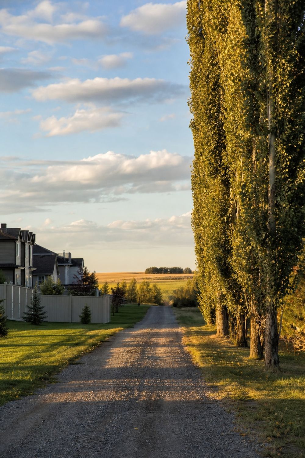 Tree Service in Stony Plain in Edmonton